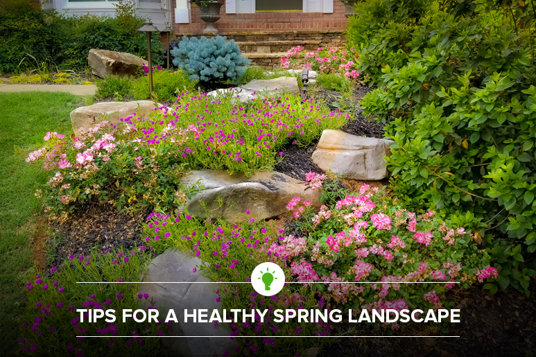 Outdoor Makeover: Spring_Landscape_feat