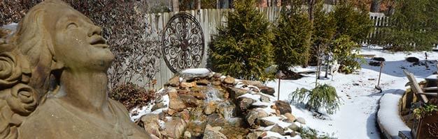Outdoor Makeover : Winter Landscaping Tips for Your Georgia Yard