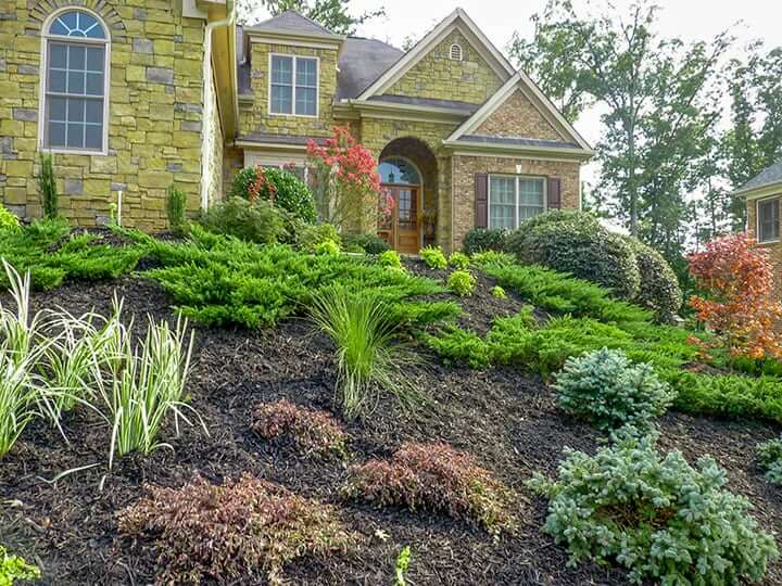 Outdoor Makeover : The Do’s and Don’ts of Landscape Design