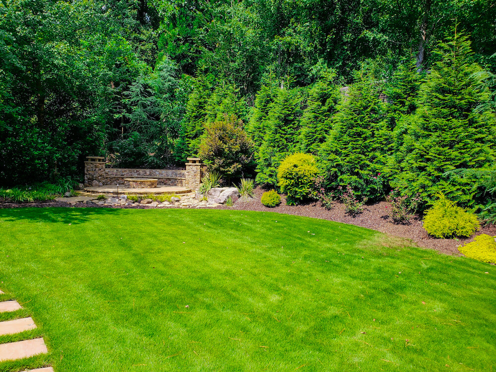 Outdoor Makeover : Steps For Maintaining Your Grass