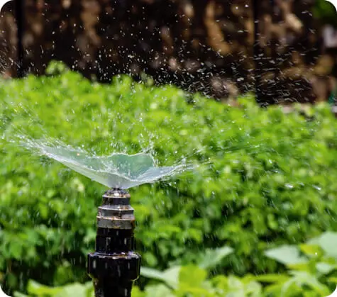 Outdoor makeover: Irrigation-Clean-Garden