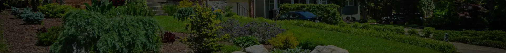 Outdoor makeover: Landscape-Service-Filler