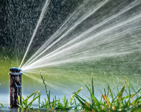 Outdoor makeover: Rotor-Irrigation-System