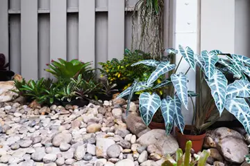 Outdoor makeover: Xeriscape-Landscaping-Gravel-Rocks