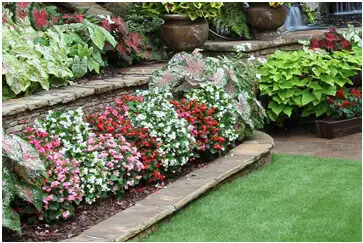 Outdoor makeover: Outdoor-Butler-Gutter-Plant-Annual-Flowers