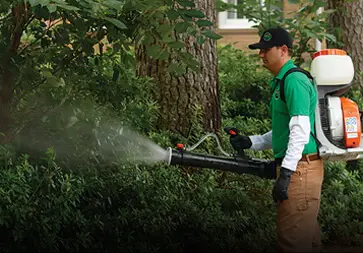 Outdoor makeover: Mosquito-Control-System-Fogging-Small