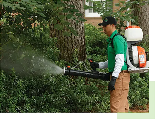 Outdoor makeover: Mosquito-Control-System-Fogging