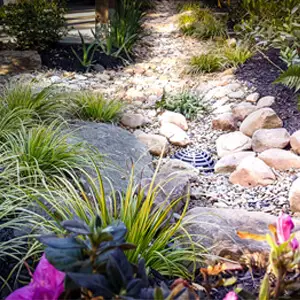 Outdoor makeover: Backyard-Landscape-Rock-Gardens
