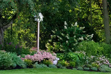 Outdoor makeover: Decatur-Landscape-Design-Plant-And-Tree-Installation