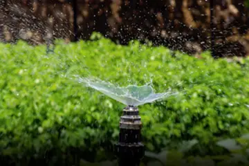 Outdoor makeover: Irrigation-Services