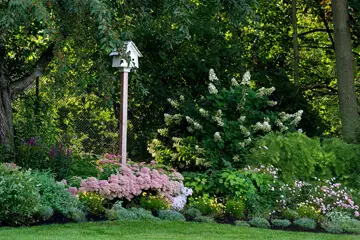 Outdoor makeover: Landscape-Service-In-Decatur-Plant-Tree-Installation