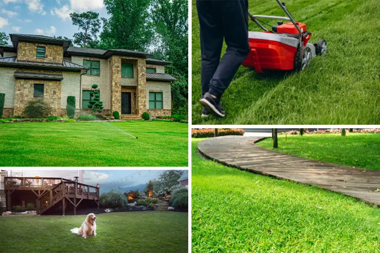 Outdoor Makeover: Customized-Lawn-Treatments-For-Healthy-Vibrant-Grass