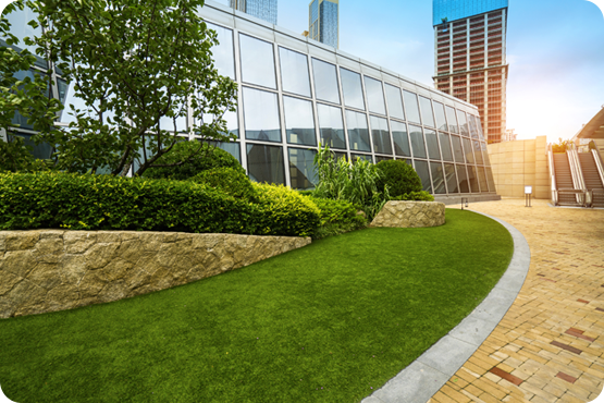 Outdoor Makeover: commercial-Lawn