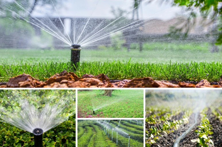 Outdoor Makeover: Advanced-Irrigation-Systems-for-Efficient-Luxury-Landscaping
