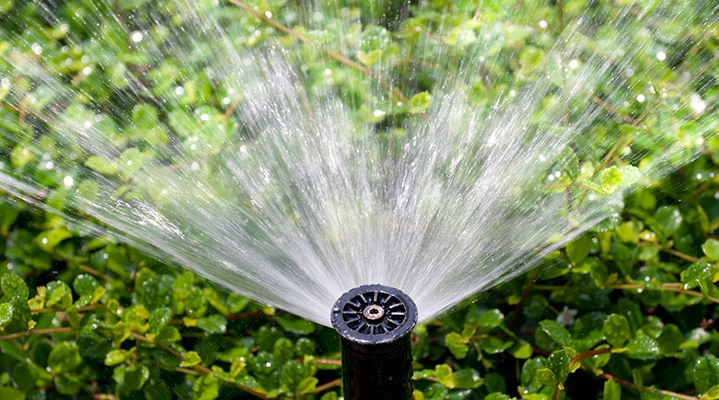 Outdoor Makeover: Rotary Nozzles Irrigation Ideas