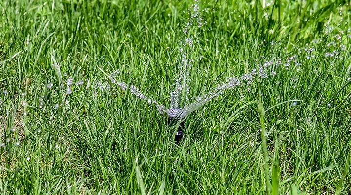 Lawn-Irrigation-Ideas